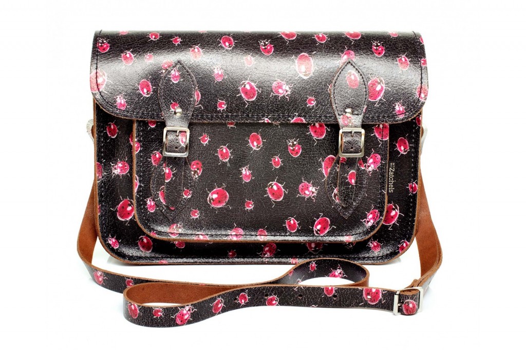 limited-edition-ladybird-bag-front